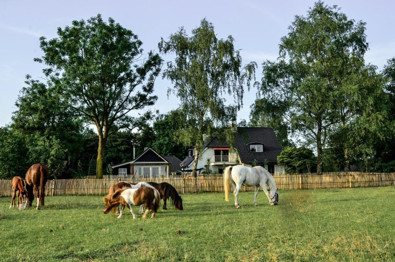 Bed & Breakfast De Zandhoef Eersel Luaran gambar