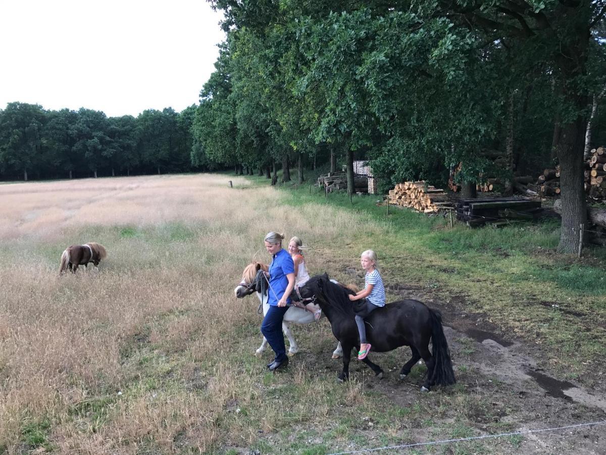 Bed & Breakfast De Zandhoef Eersel Luaran gambar