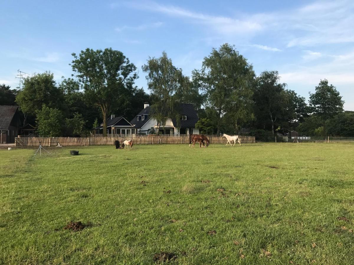 Bed & Breakfast De Zandhoef Eersel Luaran gambar